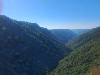 photo_2026-01-31 09.50.11