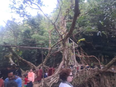 photo_2026-01-31 09.50.25